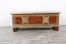WD Brass Fitted Storage Trunk