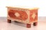 Brass Fitted Storage Trunk