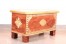 Brass Fitted Storage Trunk