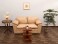 Apollo 2 Seater Sofa