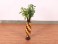 Wooden Vase 21 Inch