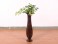Wooden Vase 26 Inch