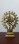 Brass Natraj